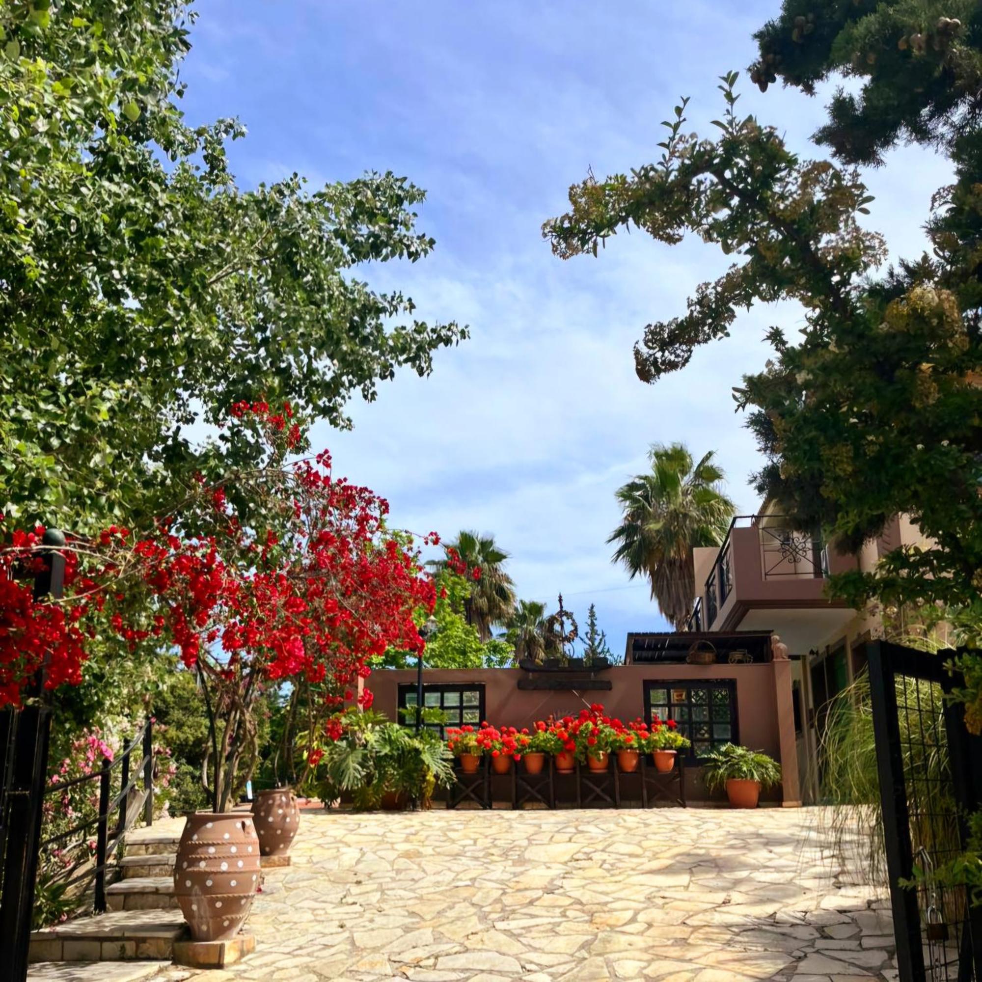 Okeanis Apartments & Suites Adults Only Kateleios Exteriör bild